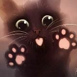 Mr Кесулькен 🐱 cat so cute