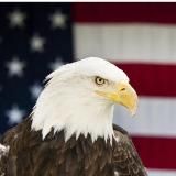 MichiganPatriotz