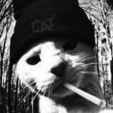 Комната Кота Барсика