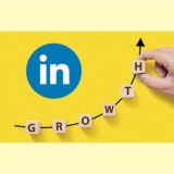 LinkedIn Growth - Alpha