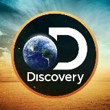 Discovery Networks 🌏 ™