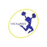 VALKYRIES CHEER SPORT VOLOGDA