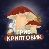 Гриб Криптовик 🍄