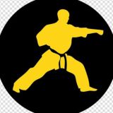 MARTIAL ARTS / БОЕВЫЕ ИСКУССТВА - ВИДЕО УРОКИ ОНЛАЙН - Айкидо Вин чун Джиу-джитсу Дзюдо Самбо Каратэ Ушу Рукопашный бой