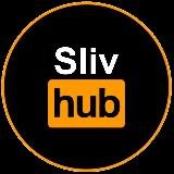 SlivHub 18+