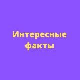 Интересные факты