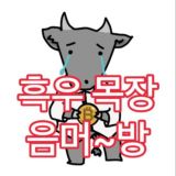 흑우목장 음머~방 🐃