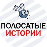 Полосатые Истории