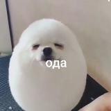 TSM Crypto