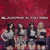 b l a c k p i n k ♡ s h o p