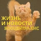 Жизнь Зооцентра КиС🦮🐈