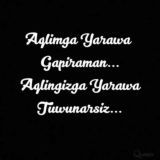 12 ta viloyat