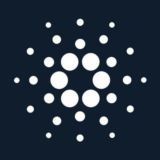 Cardano Community Tech Support Lobby