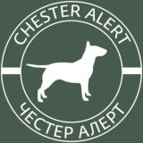Chester Alert