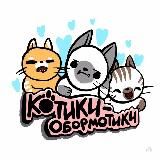 Котики-обормотики