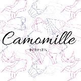 Camomille ❁