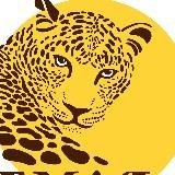 «Земля леопарда» — дирекция заповедников