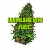 🎁🎁ШИШКИН ЛЕС🎁🎁