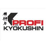 Kyokushin profi Amur