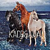 Kadr&ava🩹💗Кадры с лошадьми