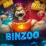 Binzoo с 0 | а когда не поднимались?