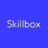 КУРСЫ SKILLBOX | СЛИВЫ КУРСОВ