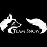 Logs team snow