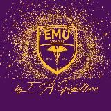 EMU UNIVERSITY