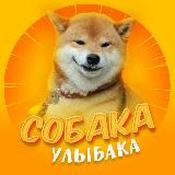 Собака-улыбака