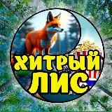 Хитрый лис🦊