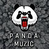 Panda Muzic 🐼