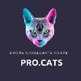 PRO.CATS | Школа биохакинга кошек