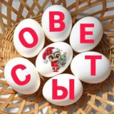 СОВЕТЫ МУДРОЙ СОВЫ 🦉