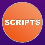 Scripts and Plugins