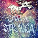 Capra Strabica Official®