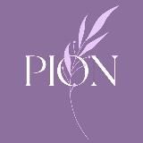 PION