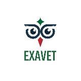 ОТВЕТЫ ВПР 2021 - EXAVET