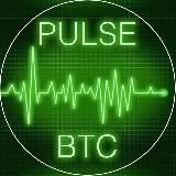 ⚡️PulseBTC Scanner 📡