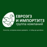 ЕВРОЭГЗ - инкубационное яйцо