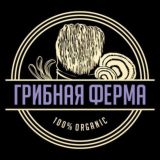 Грибная Ферма Chat