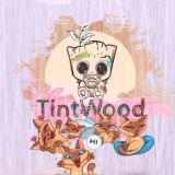 Домики для кошек TintWood🌿