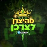 מהיצרן לצרכן -צפון