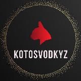 KotoSvodkyZ