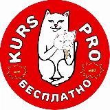 KursPro 🎁 Бесплатные курсы