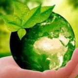 Зелёный Мир