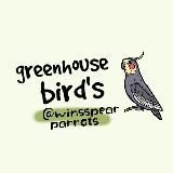 ⋆˚Greenhouse Bird's˚🪶⋆