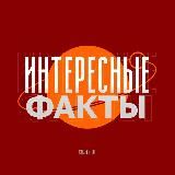 Интересные Факты