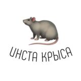 инста крыса 🐀