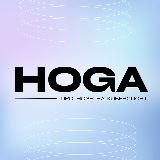 HOGA | Блог аналитика CS2