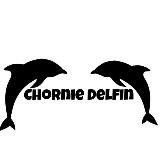 🐬 Черный Дельфин 🐬